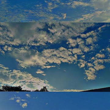 Profile photo of Snehil